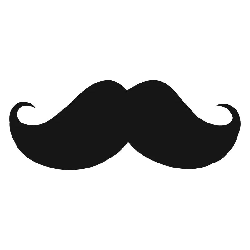 Schnauzer moustache cadeau style barbe barbu