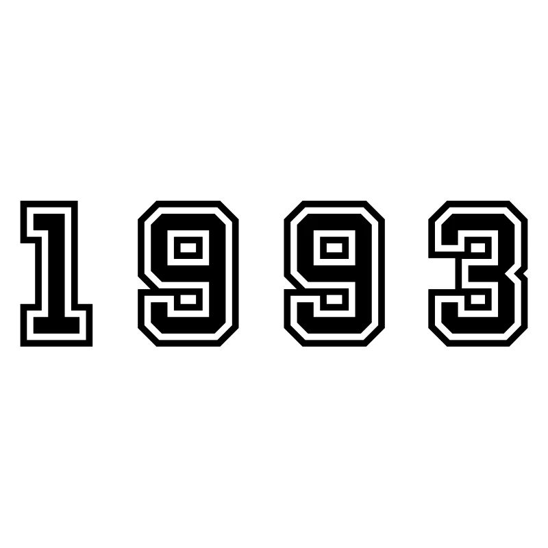 1993 Year Number