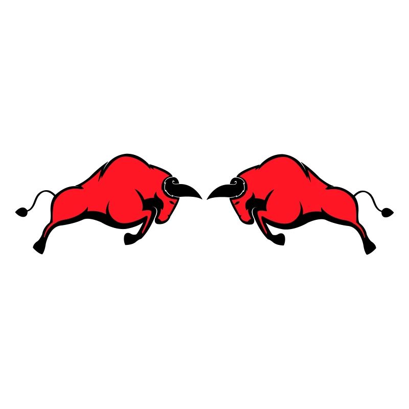 bulls
