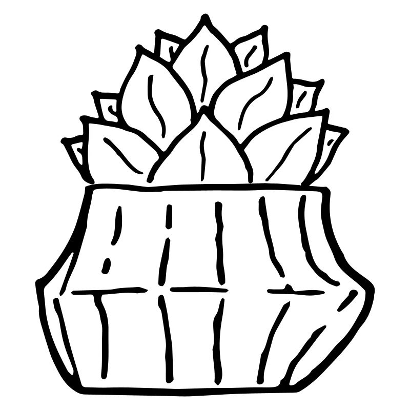 Cactus peint à la main