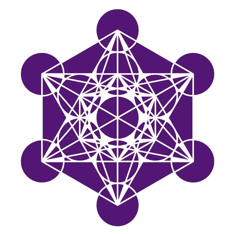 Metatrons Cube - Vector - Platonic Solids /