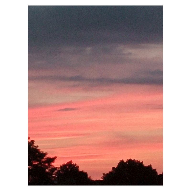 Sun Sunset Trees Pink Clouds