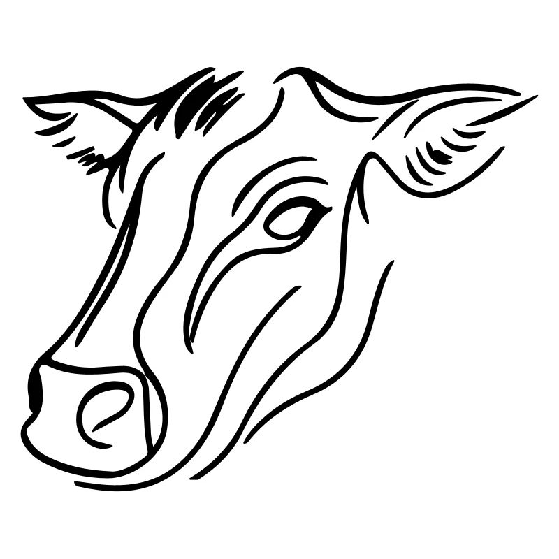 Cow Head Cattle