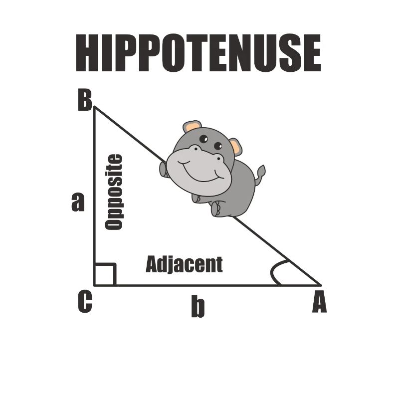 Nerd Geometry Hippotenuse Hypotenuse Math