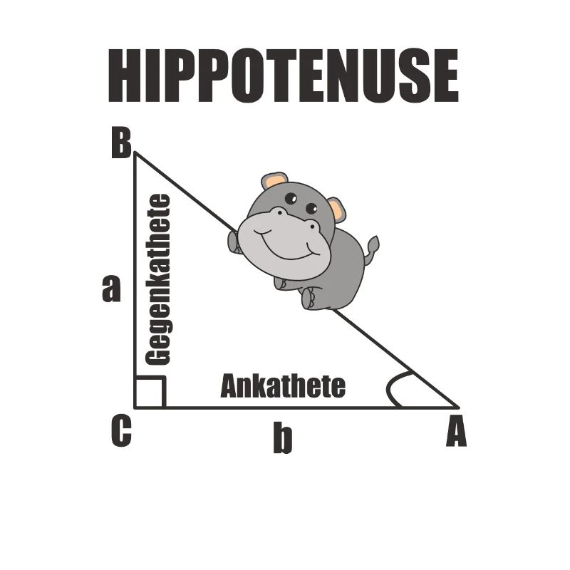 Nerd Geometry Hippotenuse Hypotenuse Math