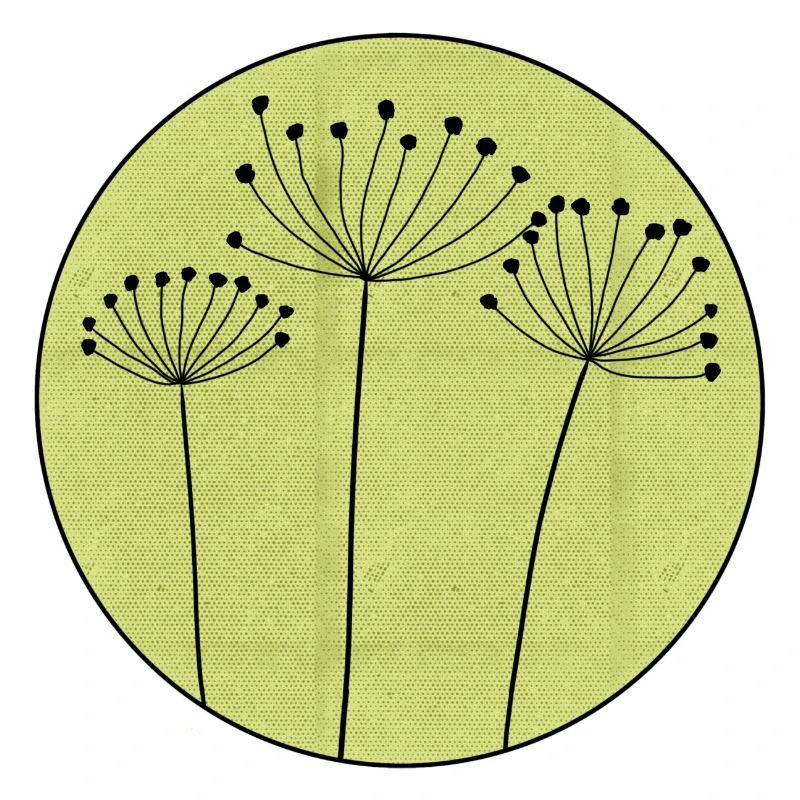Fleur séchée Minimale