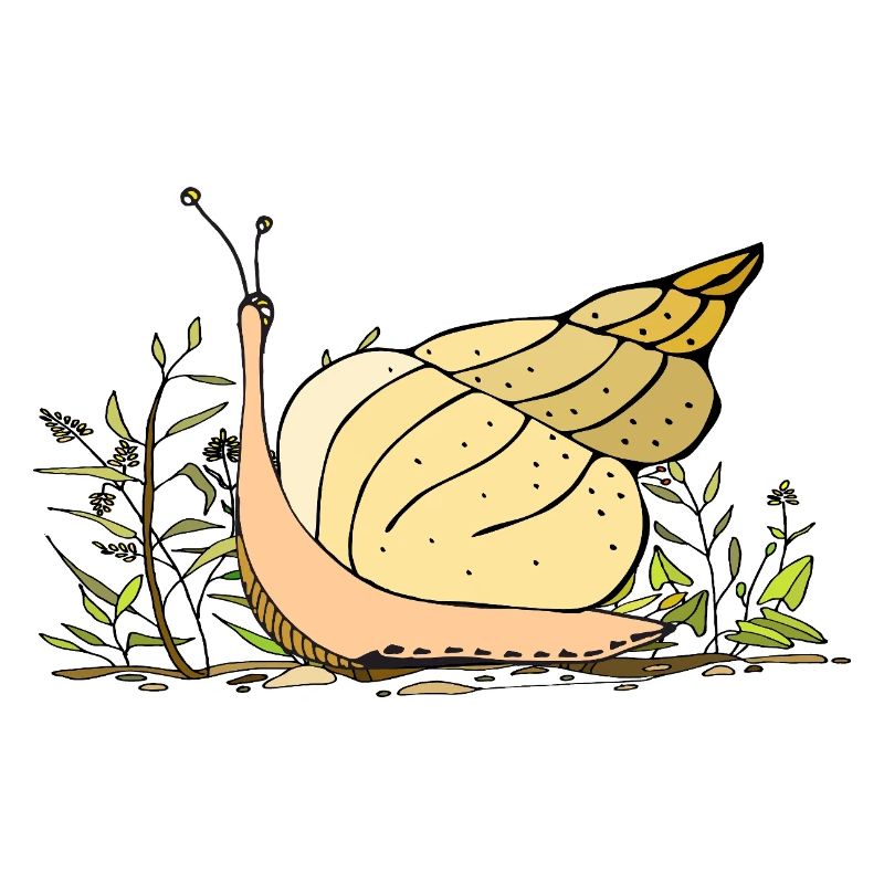 escargot