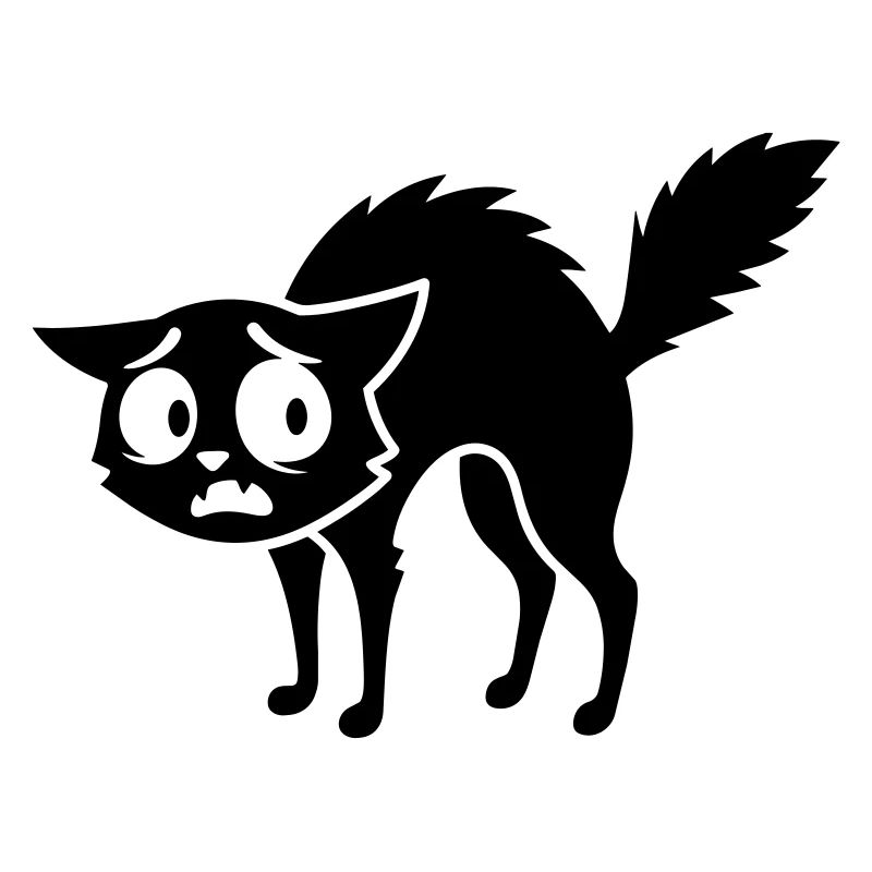 Chat effrayé