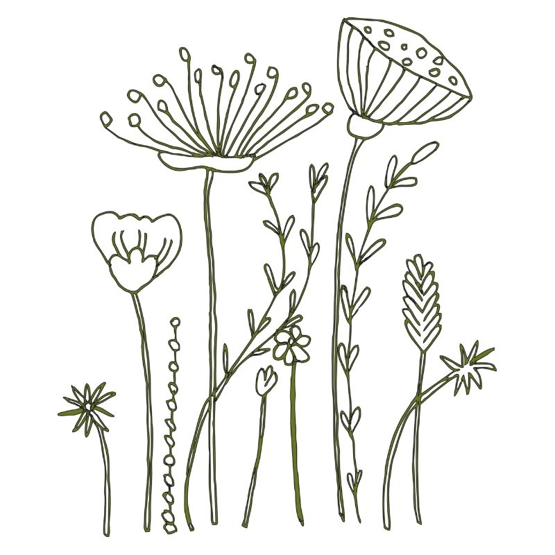 Fleurs séchées