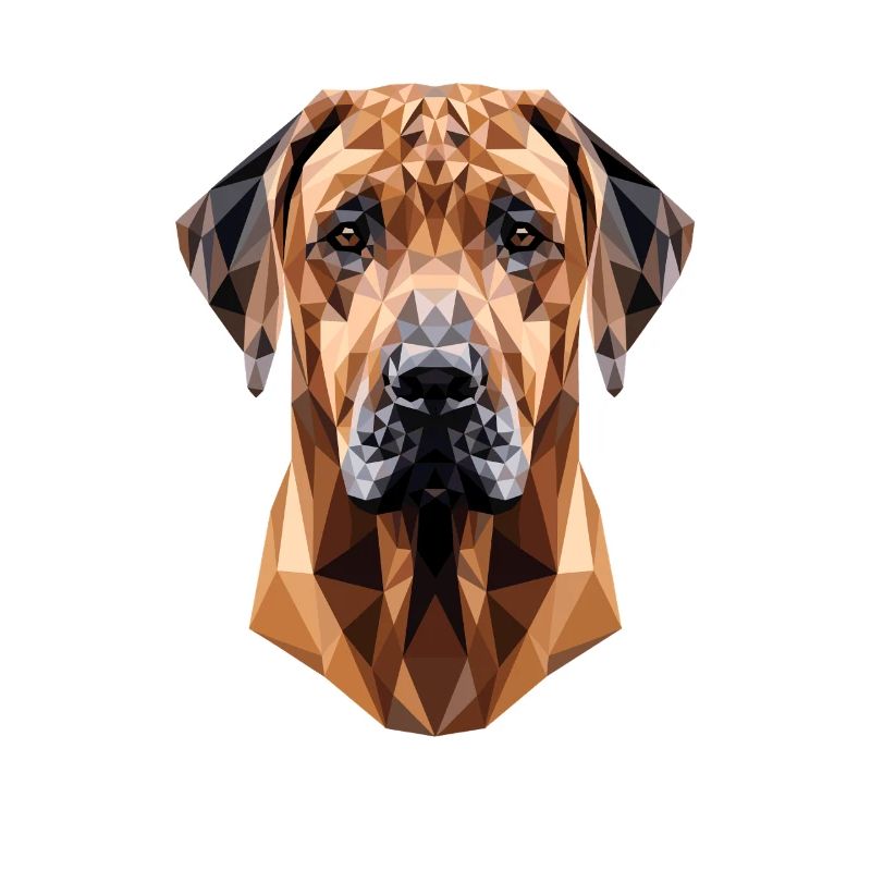 Chiens de chasse Rhodesian Ridgeback Pride Ridgeback