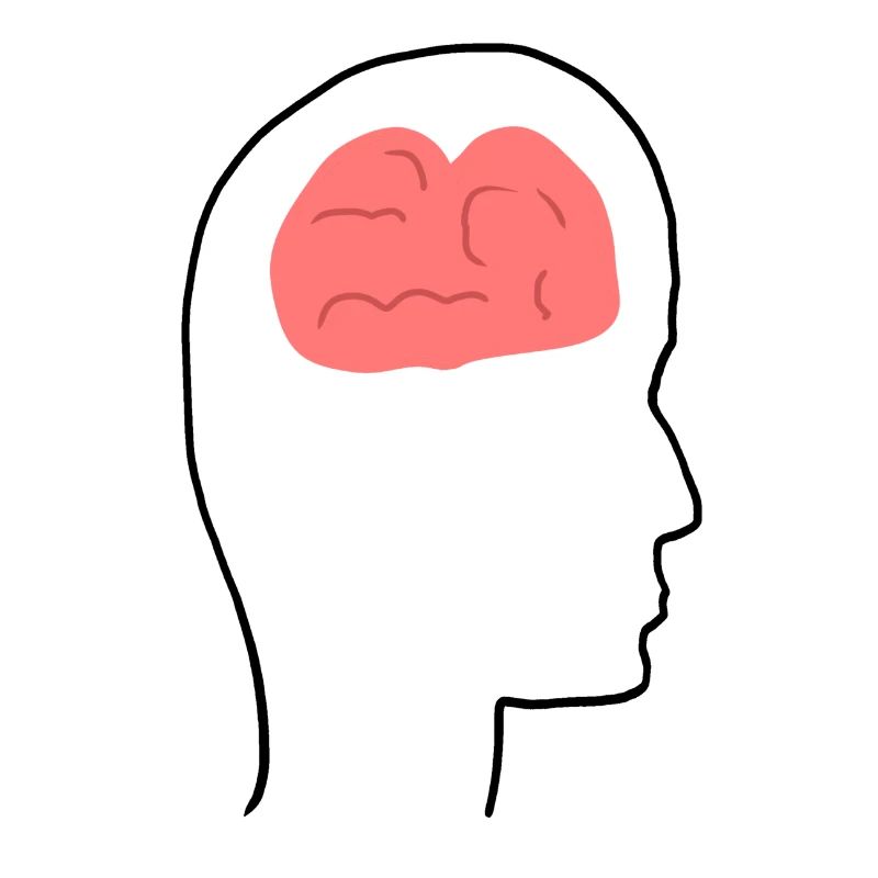 Head Profile People Side Brain Form