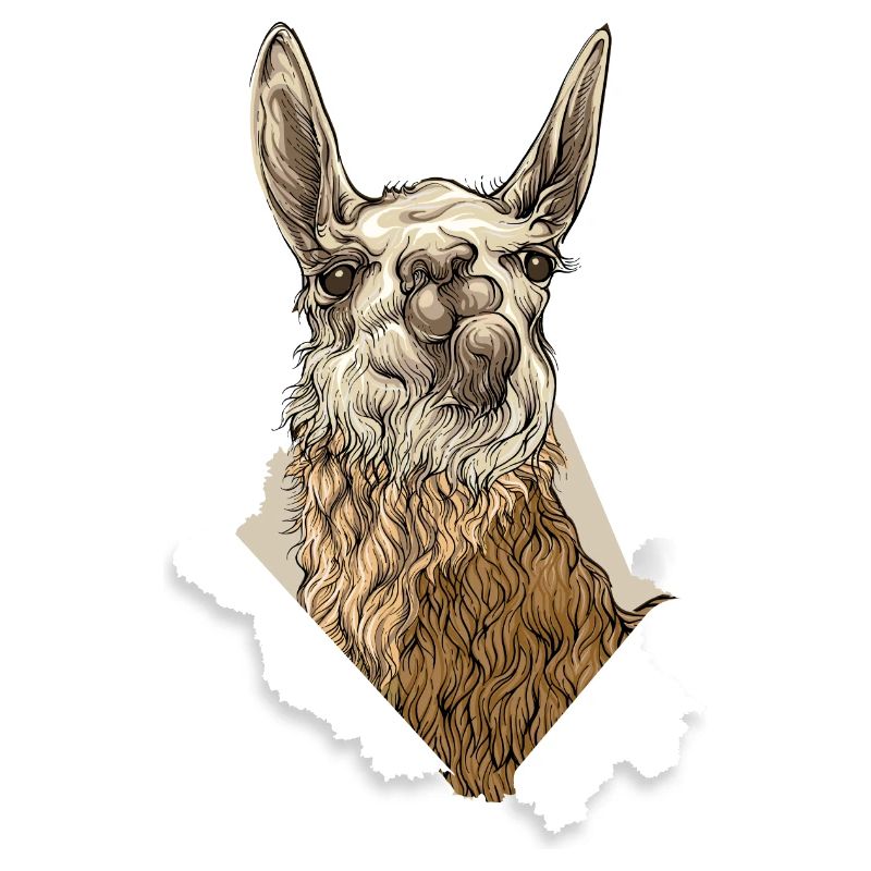 Lama