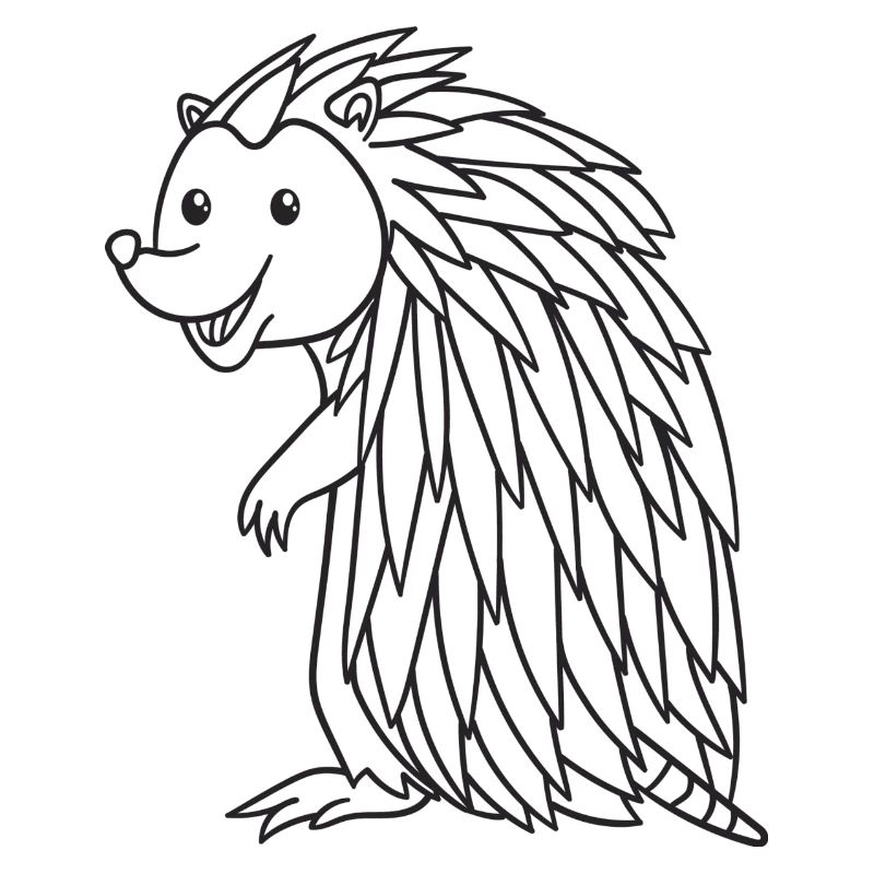 Igel, Säugetier, Geschenk, Geschenkidee