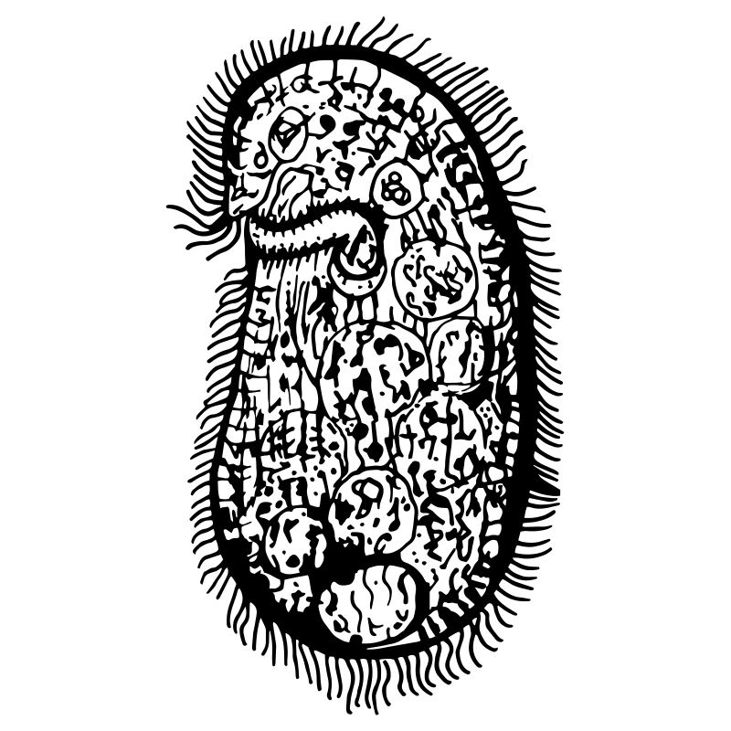 PLANKTON_05 (Series: Under the Microscope)