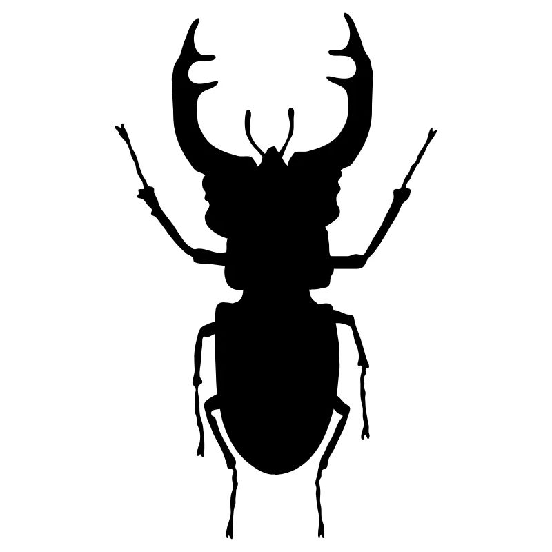 stag- beetle_c1