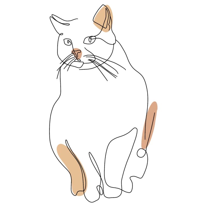 Katze