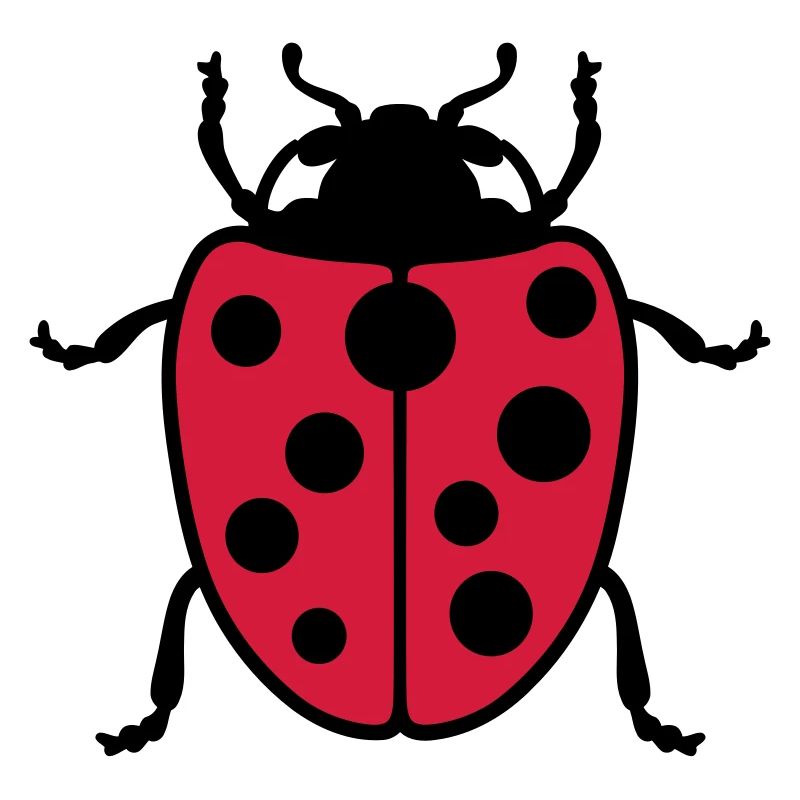 Ladybug