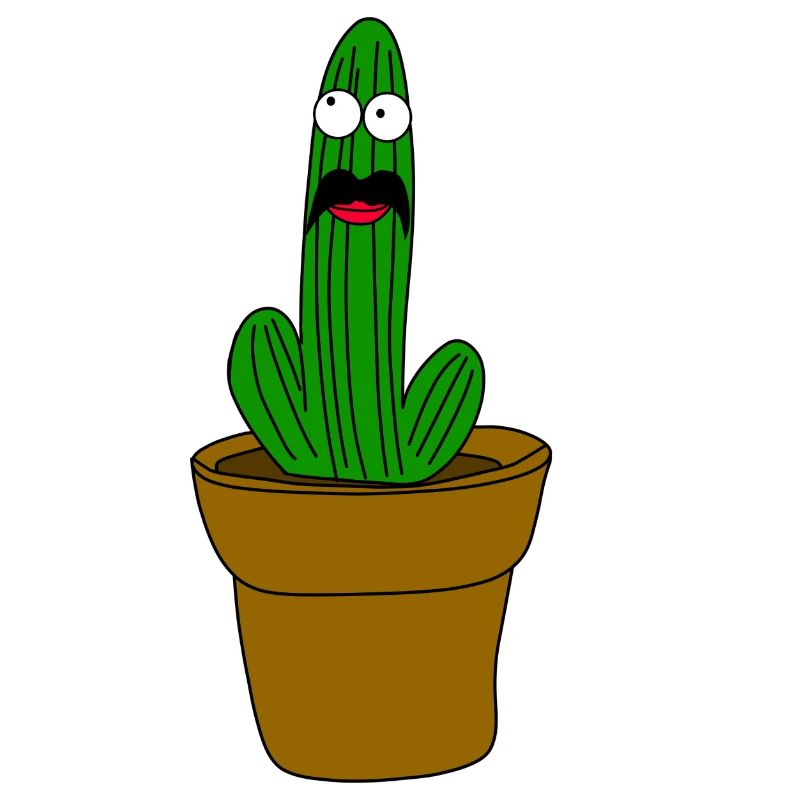Cactus with beard