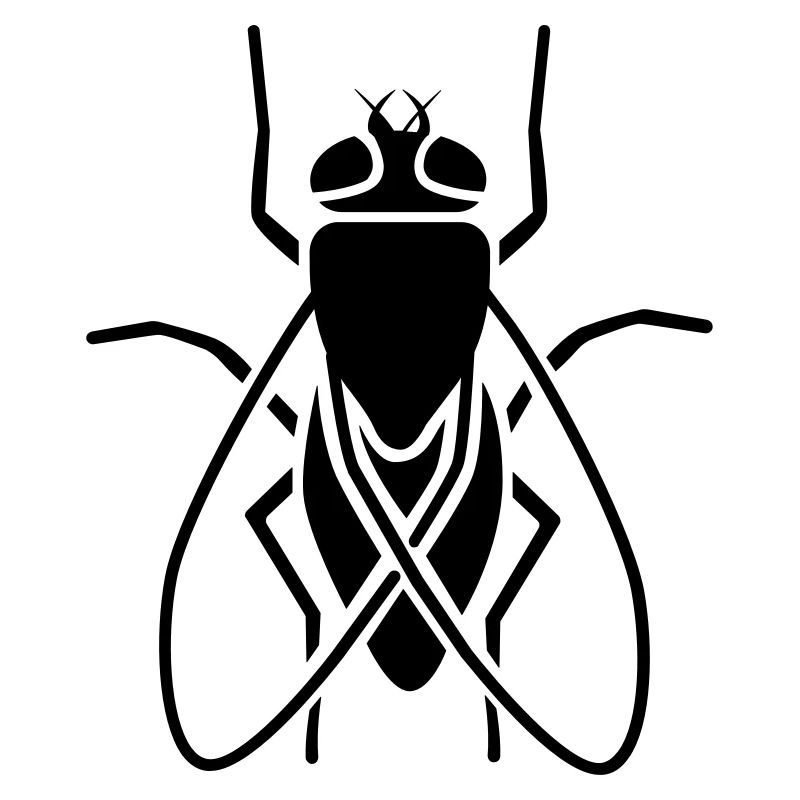 Insect - fly