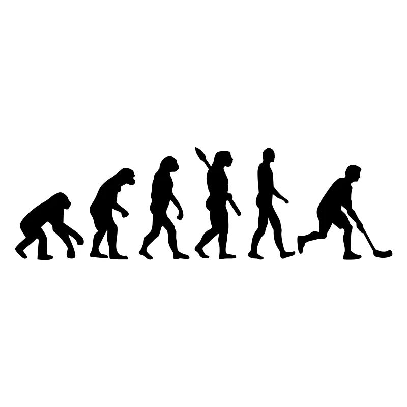 Floorball Evolution