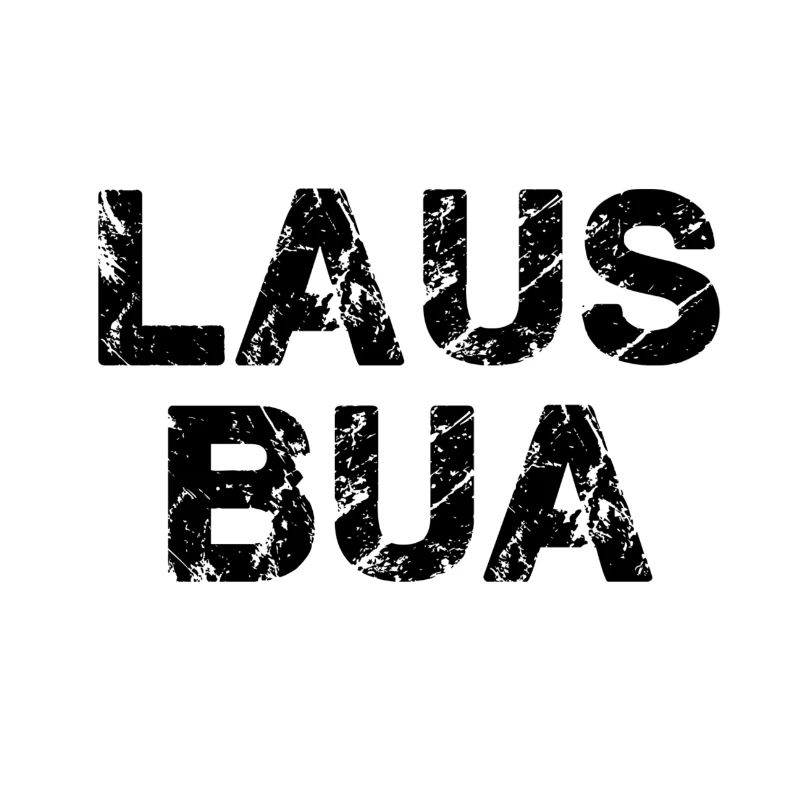 lausbua,lausbub,lausbube,schrift,typo