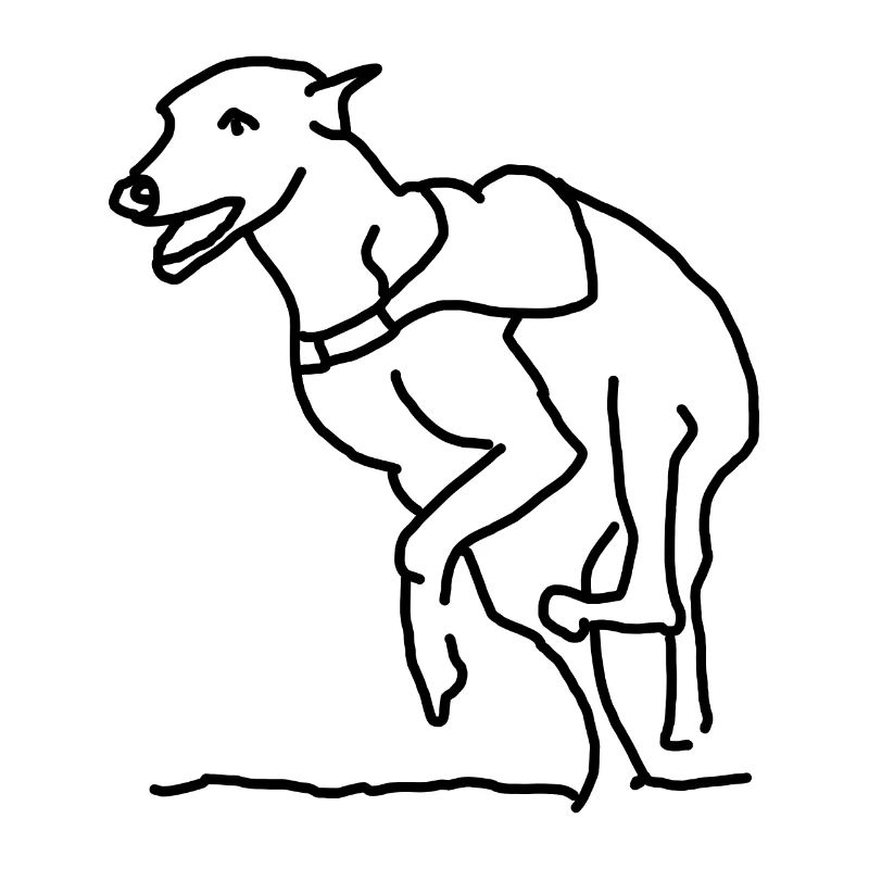 Greyhound on the move - while he runs