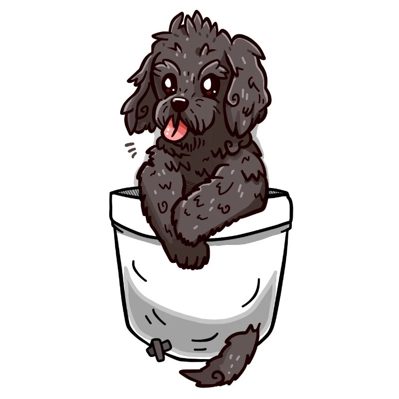 Poche Cockapoo
