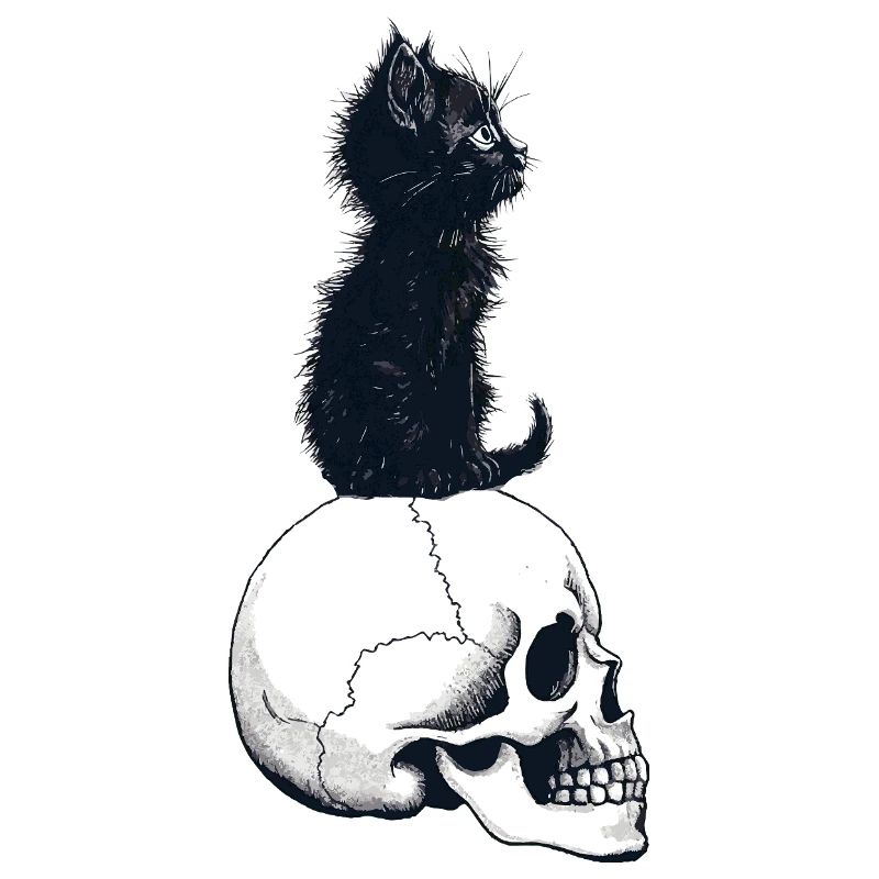 Chaton mignon assis sur un crâne