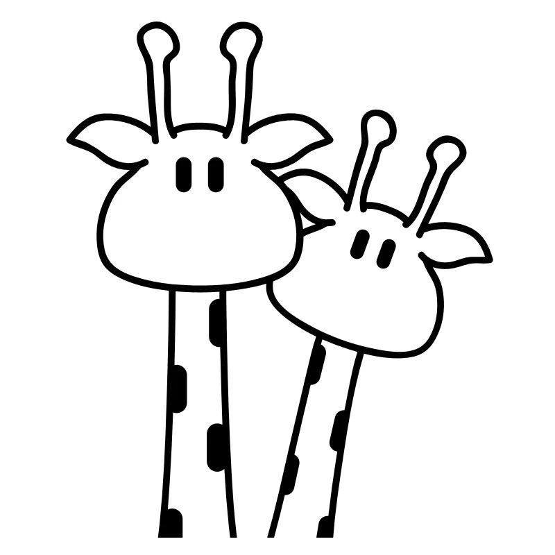 2 mignons couples de girafes s’aiment couple de girafes