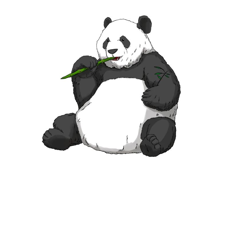 Thick Panda Gift Panda Bear Bear Bamboo Environment