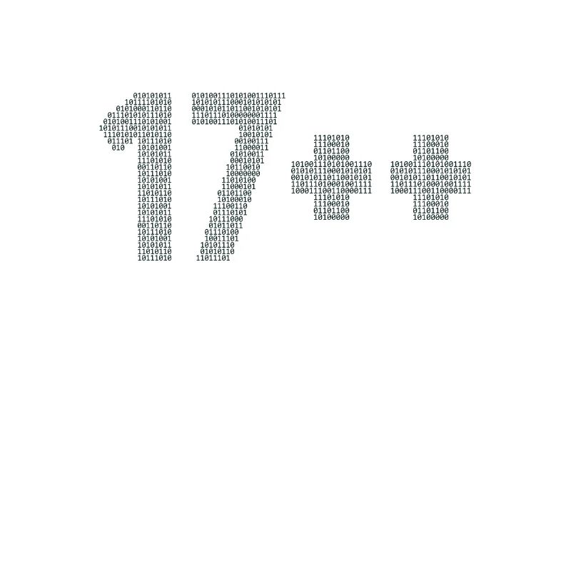 17++ Programmierer Developer Coder 18. Geburtstag