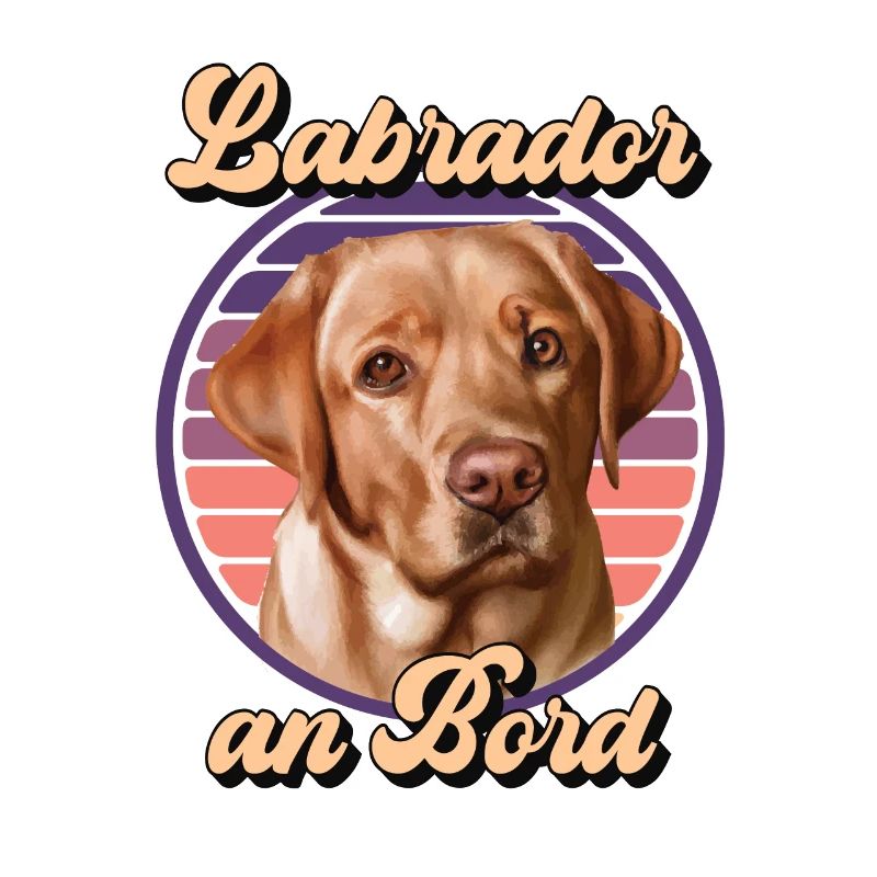 Foxred Labrador an bord Retro sunset