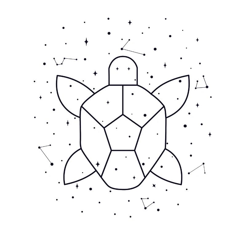 Constellation Aquatic Turtle constellation