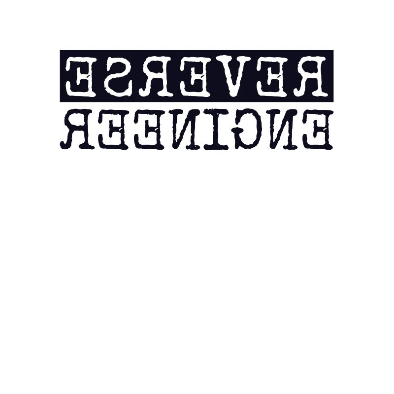 Reverse Engineer Software Engineer Developer