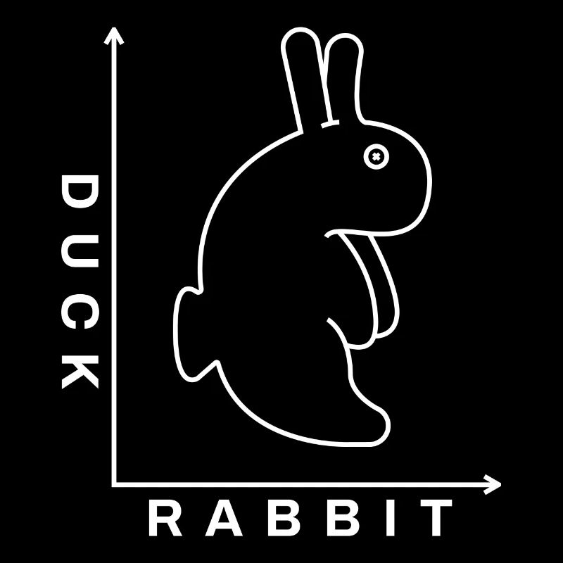 Rabbit Duck Illusion