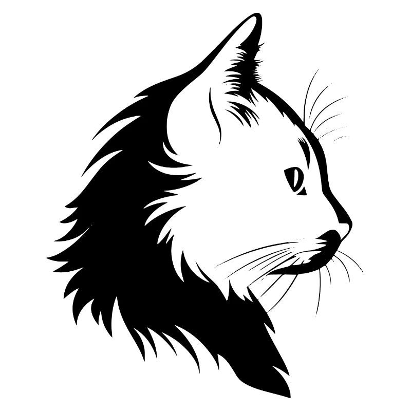 Chat, Motif De Chat