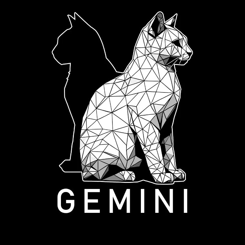 Chat Gémeaux