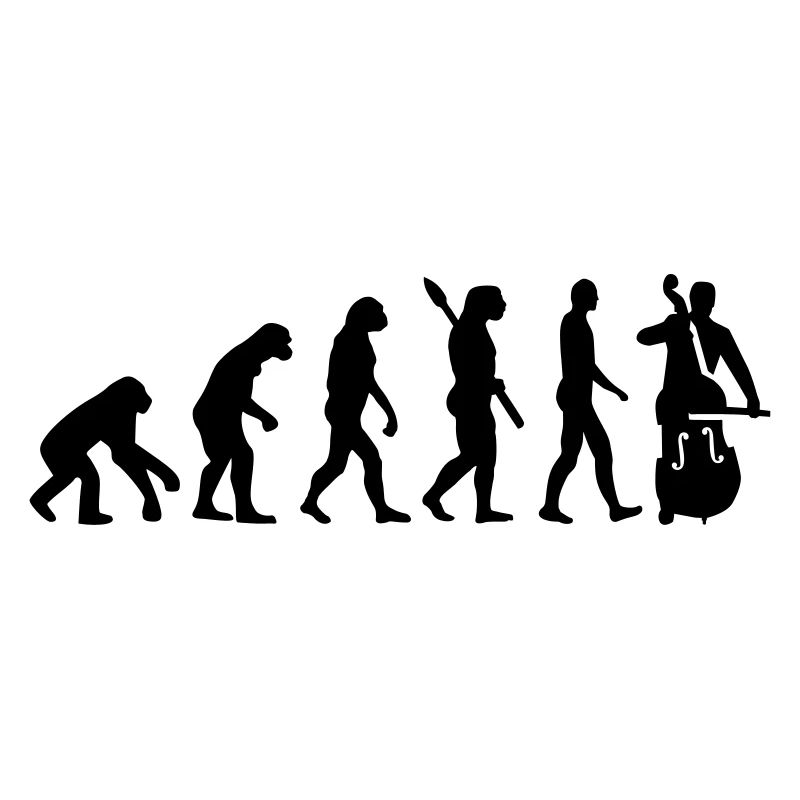 Evolution Contrabasse
