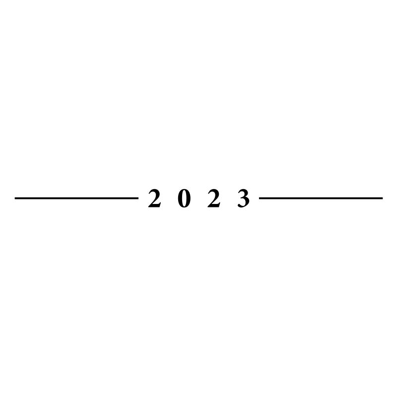 2023 year