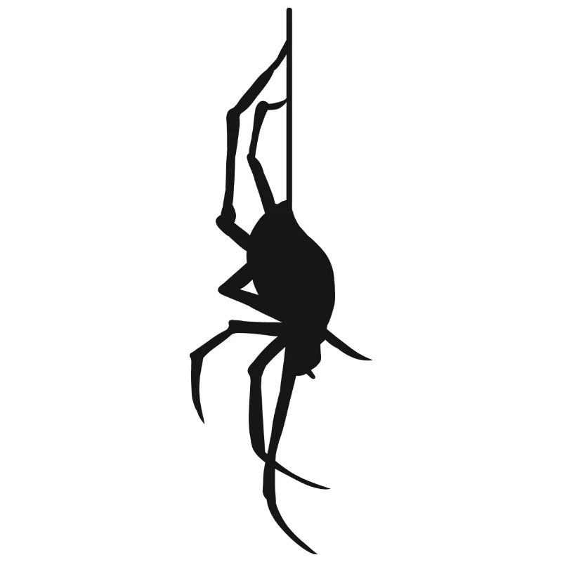 Halloween Gift Spider Spider Web