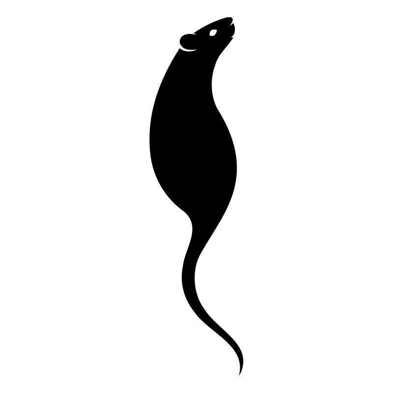The Elegant Rat