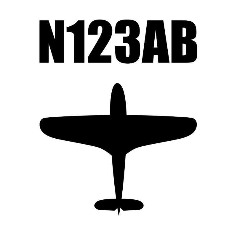 Custom Aviation - Flugzeug - Luffahrt - Pilot