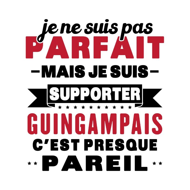 Nicht perfekt, aber ich bin ein Guingamp-Fan