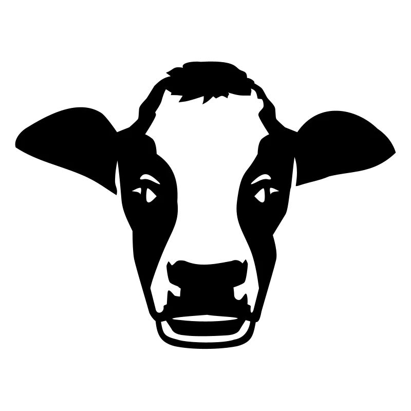 Vache