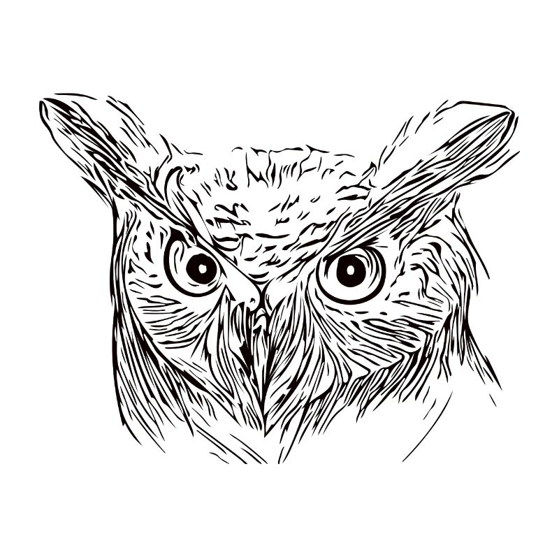 Eule - Uhu - Vogel