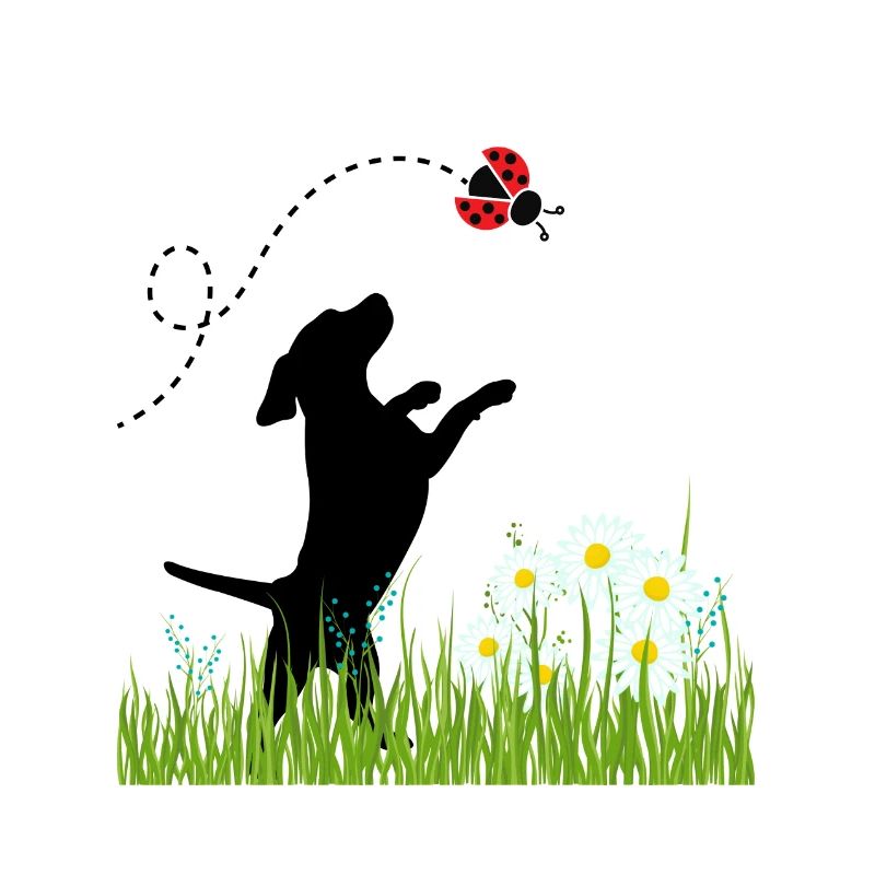 Spring design - dog, meadow and ladybug