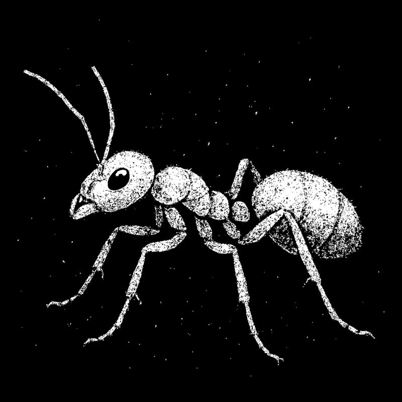 Ant