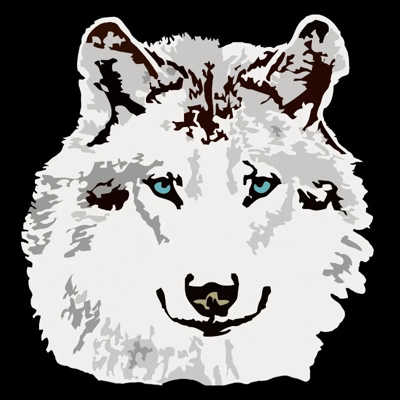 Weisser Wolf blaue Augen