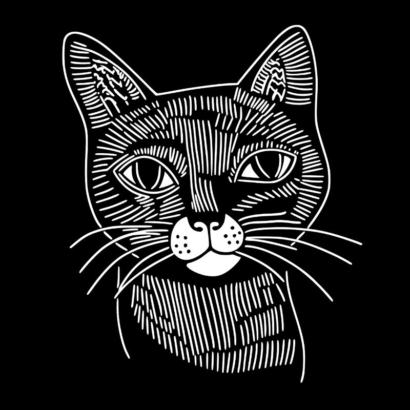 Katze 
