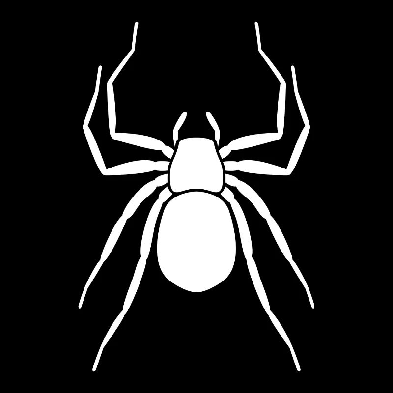 Spinne